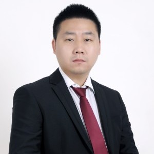 劉雙平 技術(shù)咨詢領(lǐng)域的卓越引領(lǐng)者